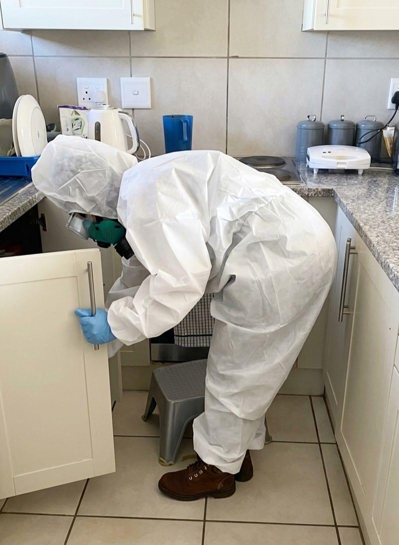 Beekay pest control technician in a white protective coverall, respirator and gloves inspecting inside a kitchen cupboard in a home